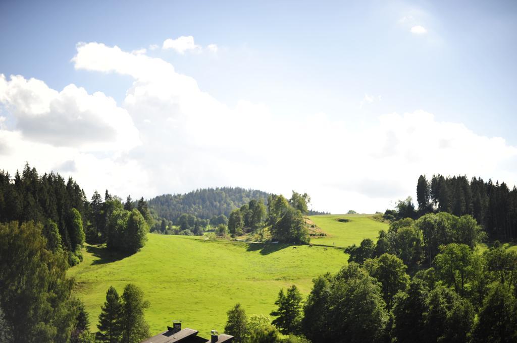 Ferien Residenz Bergfried Hotel Hinterzarten Exterior foto